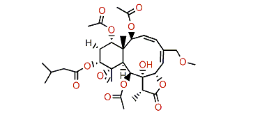 Dichotellide O